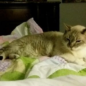 Meet your Posher, Delia